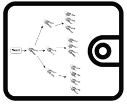 Hierarchical Deterministic (HD) Wallets